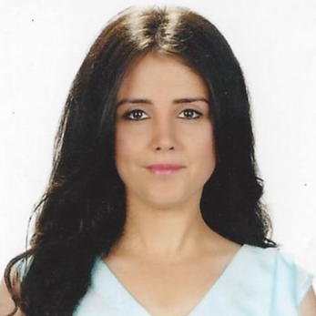 Dilek Ilhan Findikoglu